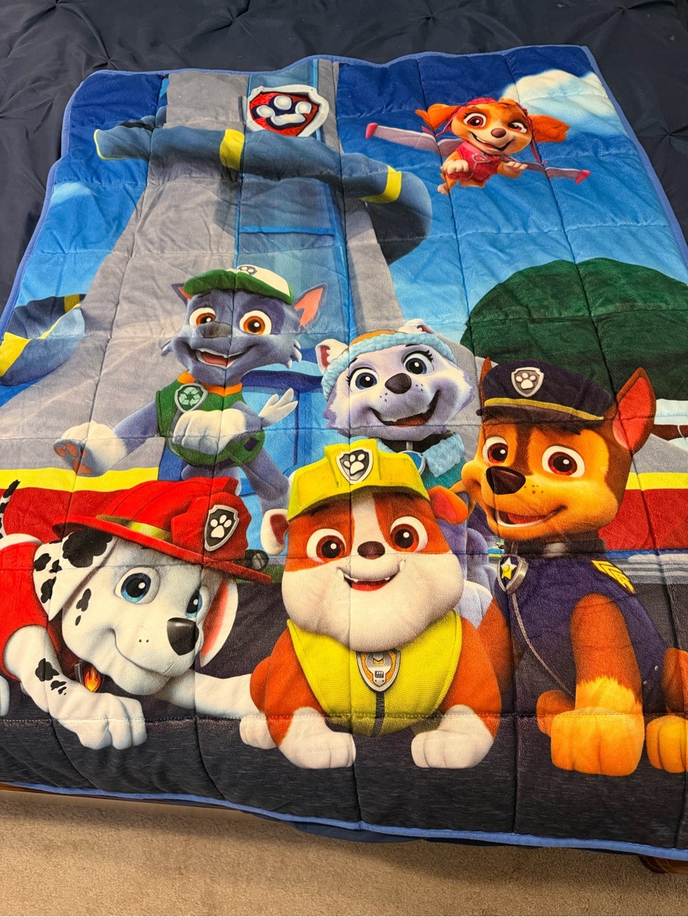 Paw Patrol Kids Blue Plush Weighted Blanket